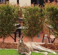 Alpha Canberra Hotel and Apartments - Accommodation Burleigh