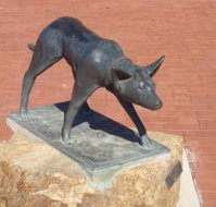 The Ardlethan Kelpie Caravan Park - Accommodation Burleigh