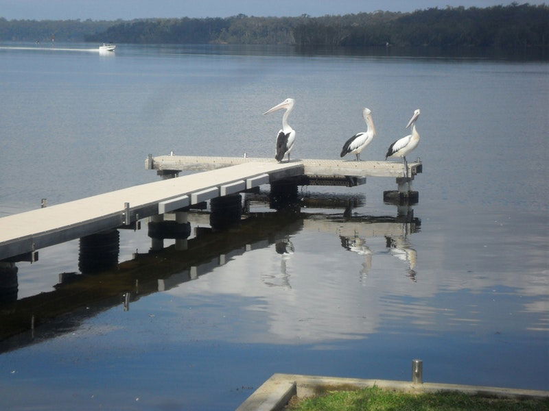 Basin View NSW Accommodation Burleigh