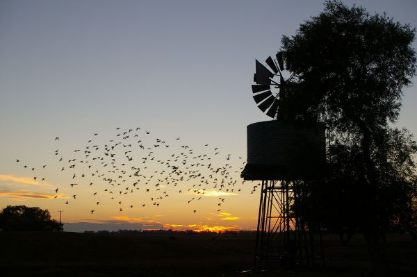 Tooraweenah NSW Accommodation Burleigh