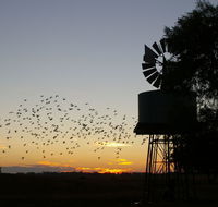 Nevertire Hotel - Accommodation Burleigh