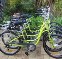 Paul's Eco E Bike Tours - Accommodation Burleigh