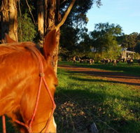 Billa Billa Farm Cottages - Accommodation Burleigh