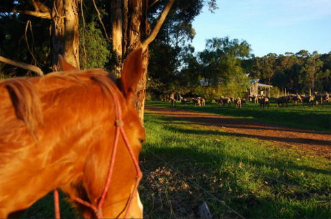 Billa Billa Farm Cottages - Accommodation Burleigh 0