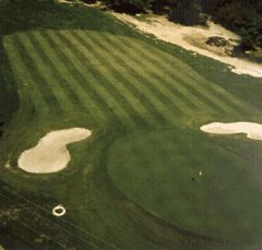 Emerald Golf And Country Resort - Accommodation Burleigh 1