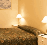 Best Western Abel Tasman Airport Motor Inn - Accommodation Burleigh