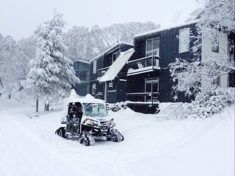 Kilimanjaro Alpine Apartments - Accommodation Burleigh 2