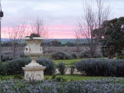 Angas Plains Estate Wines Heritage Suite - Accommodation Burleigh 4