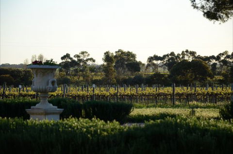 Angas Plains Estate Wines Heritage Suite - Accommodation Burleigh 6