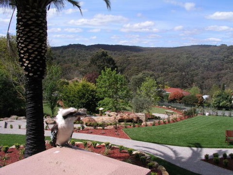 Grange Bellinzona - Accommodation Burleigh 4