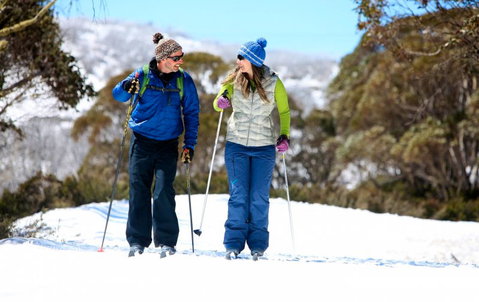 Frueauf Village - Accommodation Burleigh 44