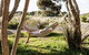 Anglesea Family Caravan Park - thumb 1