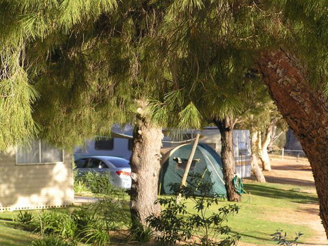 Barmera North Lake Caravan Park - Accommodation Burleigh 0