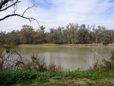 Chowilla Station Shearer's Quarters Accommodation - Accommodation Burleigh 1