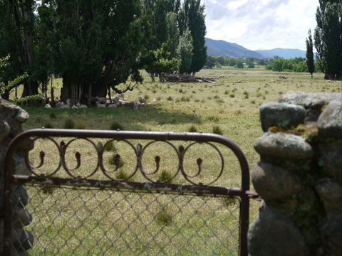 Coodravale Homestead - Accommodation Burleigh 7