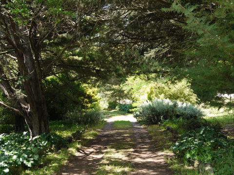 Coodravale Homestead - Accommodation Burleigh 8