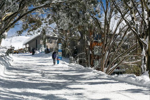 Frueauf Village - Accommodation Burleigh 5