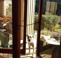 Mara Ponds Branxholm - Accommodation Burleigh