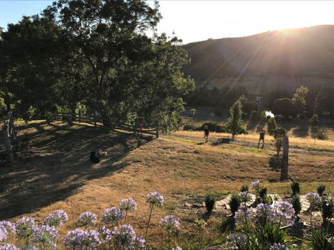 Shearer's Hill - Luxury Farm Stay - Accommodation Burleigh 9