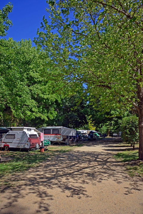 Ardern's Caravan Park Myrtleford - Accommodation Burleigh 1