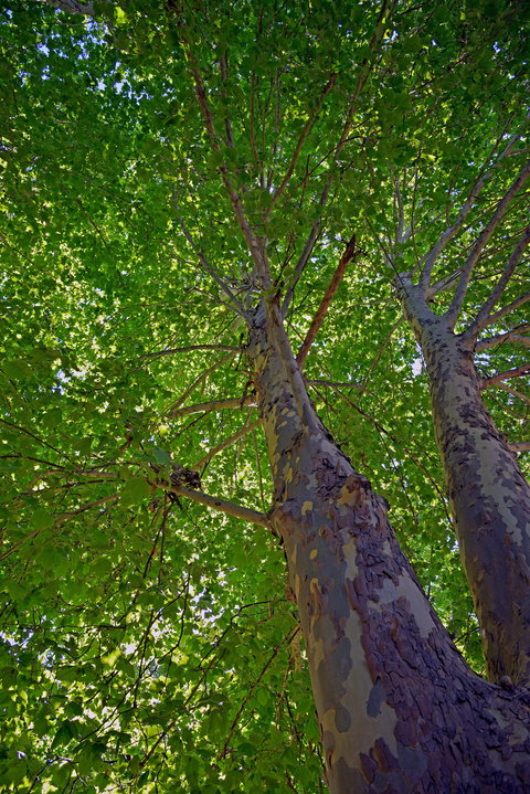 Ardern's Caravan Park Myrtleford - Accommodation Burleigh 2