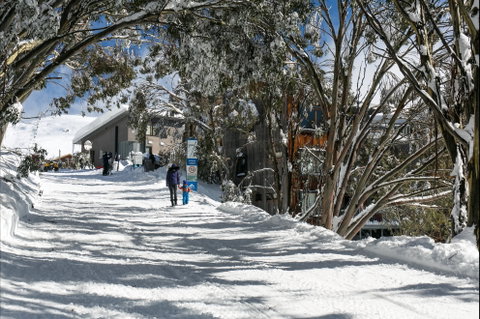 Frueauf Village - Accommodation Burleigh 5