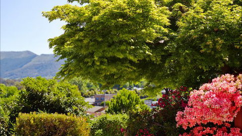 Greatview Holiday Spa Retreat For Couples - Accommodation Burleigh 4