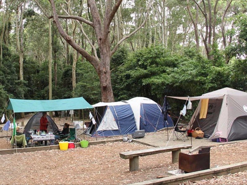 Washpool NSW Accommodation Burleigh