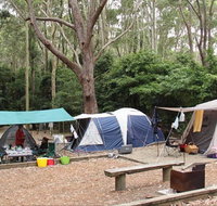 Pebbly Beach campground - Yuraygir National Park - Accommodation Burleigh