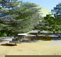 Joe O'Connor Park - Accommodation Burleigh