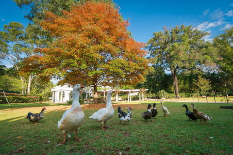 Kalinya Estate - Accommodation Burleigh 8