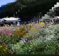 Millicent Showground RV Park - Accommodation Burleigh