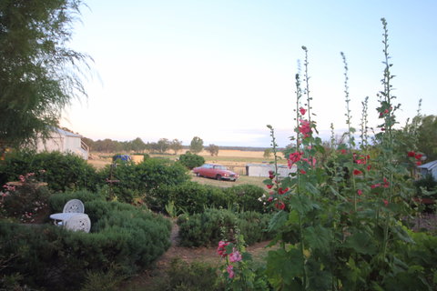 Rostrata Country House - Accommodation Burleigh 7