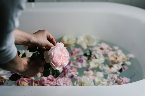 Acre Of Roses - Accommodation Burleigh 5