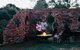 Acre Of Roses - thumb 8