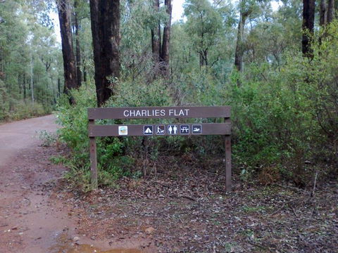 Charlies Flat Campground At Lane Poole Reserve - Accommodation Burleigh 0