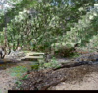 Eungella National Park camping - Accommodation Burleigh