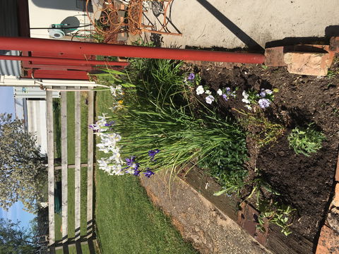 Fairview Bed And Breakfast Cottage - Accommodation Burleigh 2