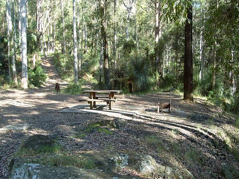 Gap Creek Campground - Accommodation Burleigh 1