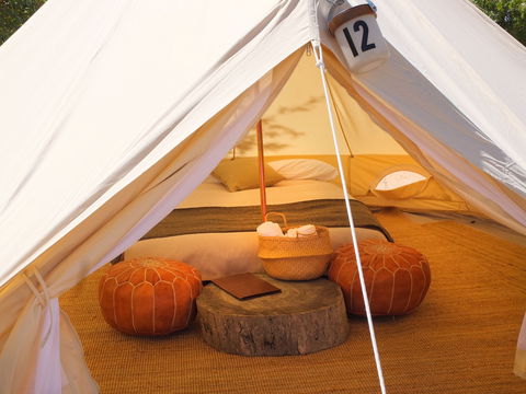 Glamping At Mayfield Garden - Accommodation Burleigh 1