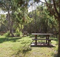 Illaroo group camping area