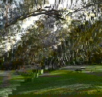 Kookibitta campground - Accommodation Burleigh