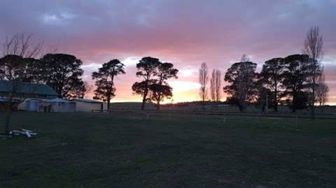 Braidwood Showground - Caravans And Camping - Accommodation Burleigh 0