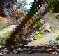 Centre Road Crossing Camp at Mount Frankland South National Park - Accommodation Burleigh