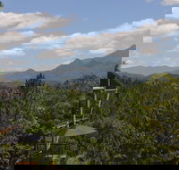 Ecoasis - Accommodation Burleigh