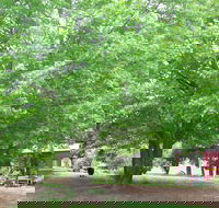 Hill End Holiday Ranch - Accommodation Burleigh