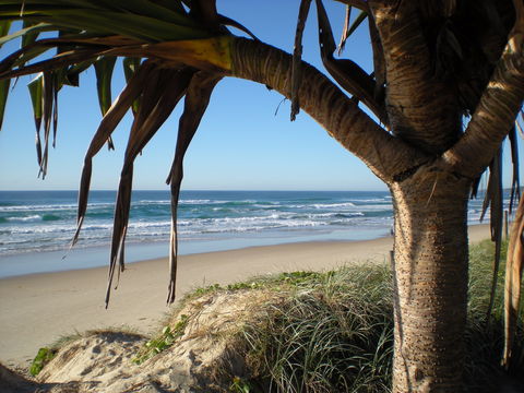 Horizons At Peregian - Accommodation Burleigh 0