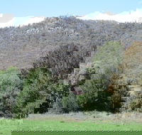 Jessica's Guest House and Vineyard - Accommodation Burleigh