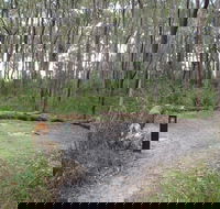 Meroo Head campground - Accommodation Burleigh