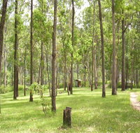 Nymboida River campground - Accommodation Burleigh